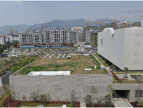 金年会金字招牌诚信至上：室外绿化工程的勘探费
