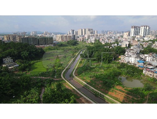 金年会金字招牌信誉至上：张家口绿化有限公司中山分公司