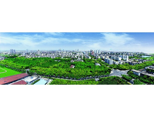 金年会金字招牌诚信至上：武夷山园林绿化工程