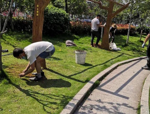 金年会金字招牌信誉至上：株洲绿化市容热线