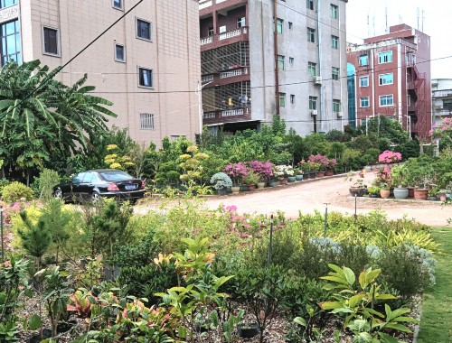 金年会金字招牌信誉至上：无锡做市政绿化要哪些资质证书
