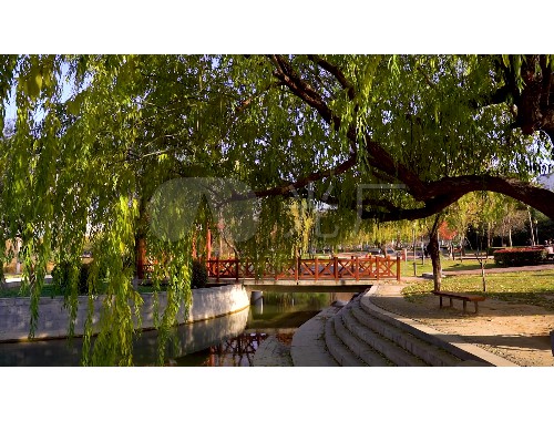 金年会金字招牌信誉至上：天门绿化与市容