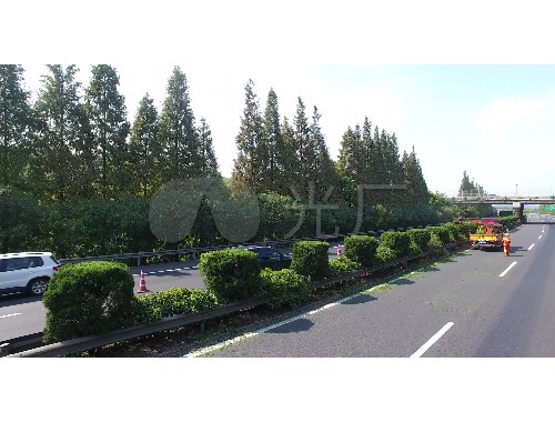 金年会金字招牌诚信至上：双鹤湖绿化工程