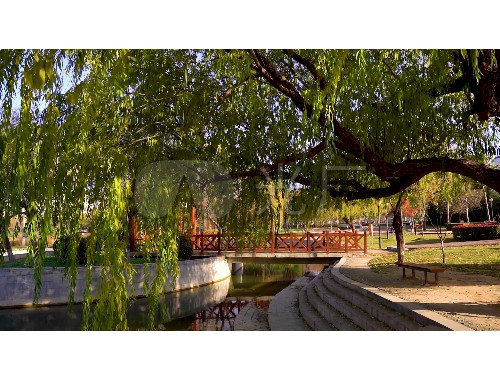 金年会金字招牌诚信至上：三河南京市园林绿化公司