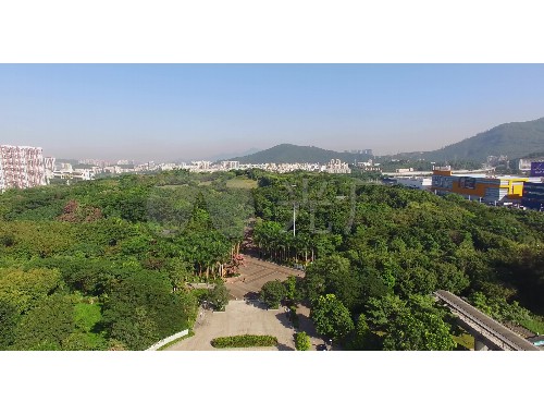 金年会金字招牌信誉至上：修路的配套绿化工程