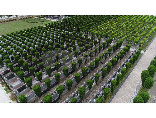 金年会金字招牌诚信至上：乐山园林绿化处入围名单