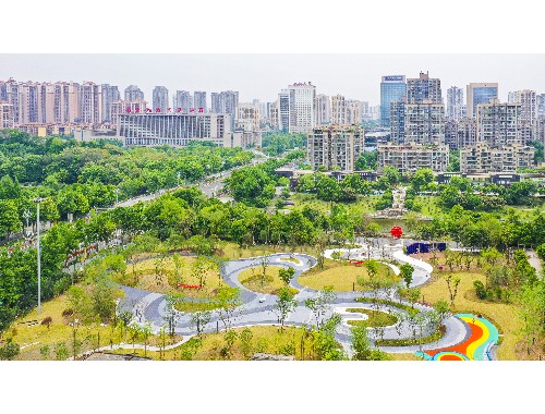 金年会金字招牌诚信至上：奉贤园林绿化处陈江波