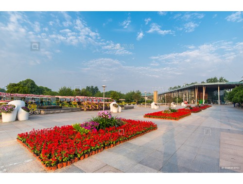 宁德城市绿化养护费用标准表