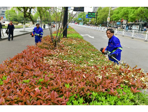 金年会金字招牌信誉至上：尚志市政绿化招标