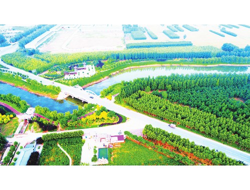 金年会金字招牌诚信至上：天津市政绿化工程公司