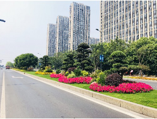 金年会金字招牌诚信至上：华蓥市政绿化工程包括哪些内容