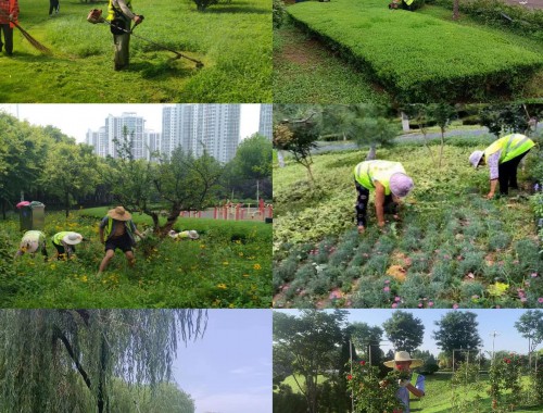 金年会金字招牌诚信至上：承德做市政绿化要哪些资质呢