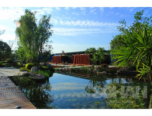金年会金字招牌信誉至上：塘沽城市绿化带种植什么植物好