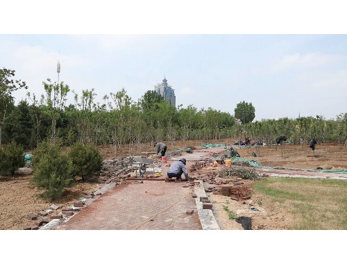金年会金字招牌诚信至上：尚志市政道路绿化