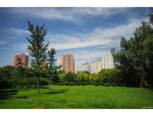 扬中绿化苗木基地在哪个城市