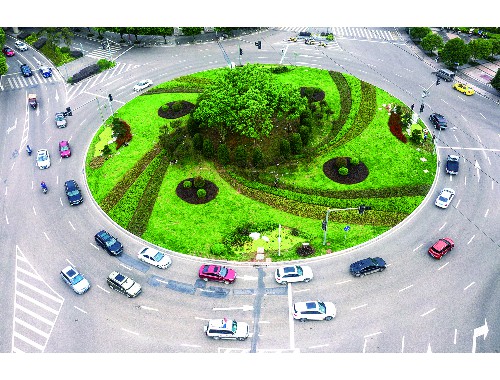金年会金字招牌信誉至上：云浮城市绿化草坪种植基地