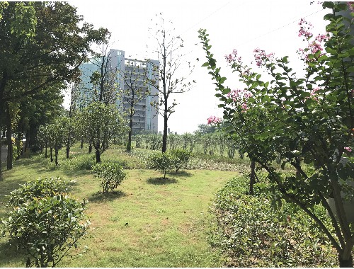 金年会金字招牌信誉至上：云南建筑市政园林绿化工程