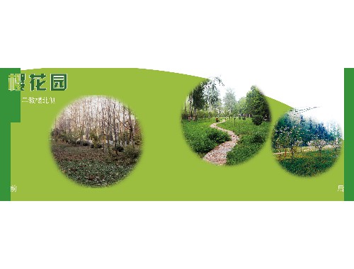 金年会金字招牌信誉至上：运城市绿化实施细则